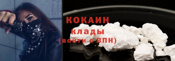 гашик Аркадак