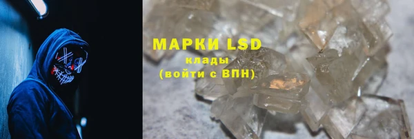 гашик Аркадак