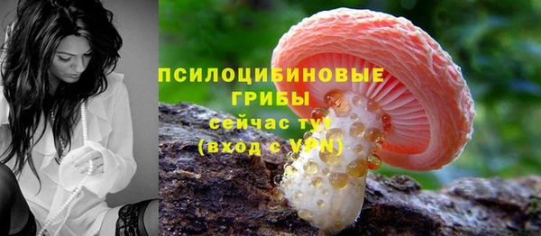 гашик Аркадак