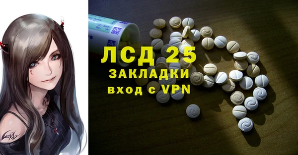 гашик Аркадак