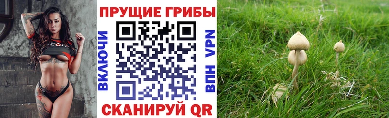 Галлюциногенные грибы GOLDEN TEACHER  mega онион  Нязепетровск 